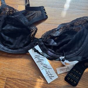 Pinup Lingerie Brand New